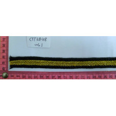 CYY3848