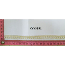 CYY3851(2)