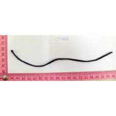 CYY3854