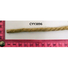 CYY3896
