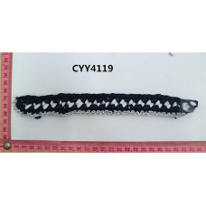 CYY4119