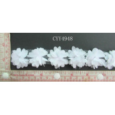 CYY4948