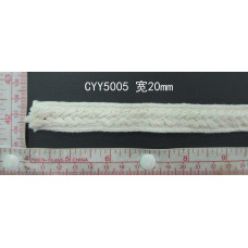 CYY5005