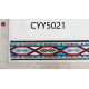 CYY5021