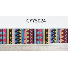 CYY5024