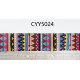 CYY5024