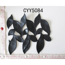 CYY5084