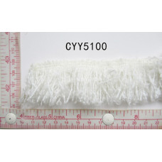 CYY5100