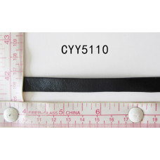 CYY5110