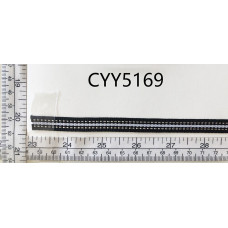 CYY5169