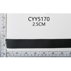 CYY5170