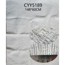 CYY5189