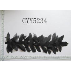 CYY5234-2.JPG