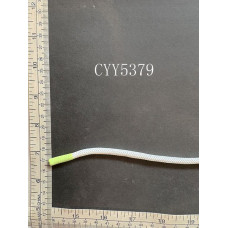 CYY5379.JPG