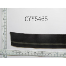 CYY5465.JPG