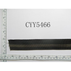 CYY5466.JPG