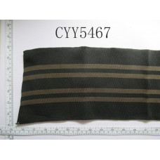 CYY5467.JPG