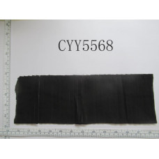 CYY5568.JPG