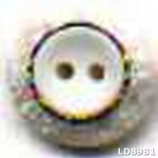 ld8981