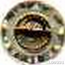 ld9231
