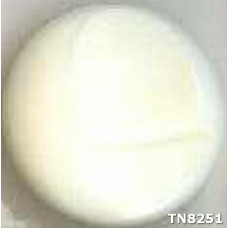 tn8251